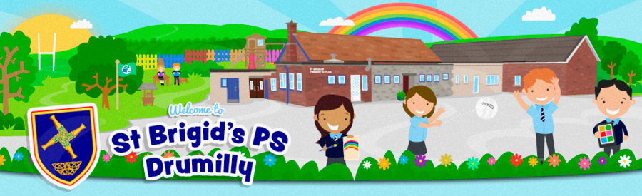 St Brigid's Primary School, Drumilly, Belleeks